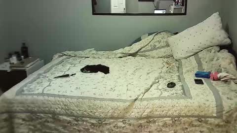 Snapshot of elpouto chatting on November 8, 8:25 am Elpouro online show from November 8, 8:25 am