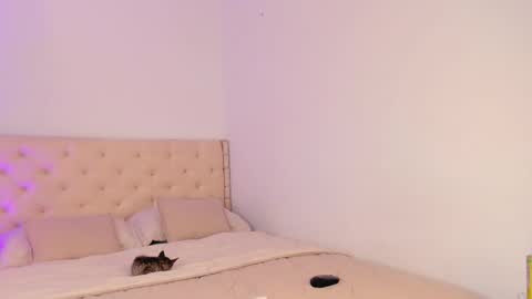 Michelle online show from March 20, 7:30 pm