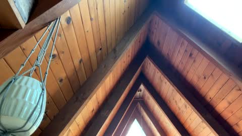 popalottapuss - puddin tits - daddy - buttercup - bonfire - Mrs. Fuck Yea - hibeams - honey buns - online show from April 13, 6:35 pm