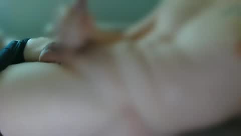 emil2211 online show from October 28, 2:42 pm