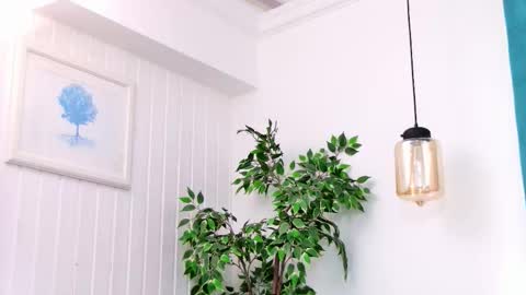 Emily online show from March 3, 8:04 pm