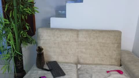 Snapshot of emma_blue_ chatting on October 20, 3:29 am Emma Blue modelo independiente online show from October 20, 3:29 am