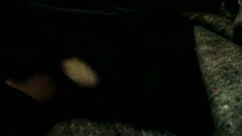 estelarseiya online show from January 4, 3:18 am