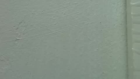 Estrella online show from February 15, 11:50 am