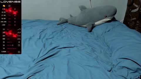 Eva online show from December 16, 8:37 pm