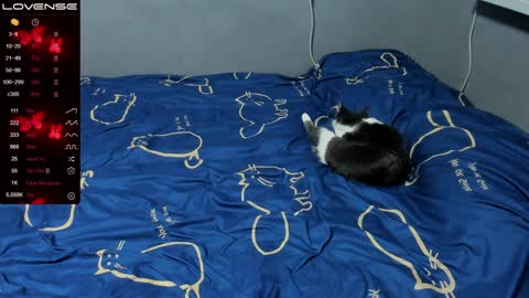 Eva online show from January 12, 1:58 pm