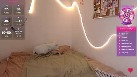 Snapshot of evaandtommi chatting on February 18, 8:27 am eva and tommie online show from February 18, 8:27 am