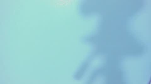 Snapshot of evelyn_lee5 chatting on March 4, 12:22 pm online show from March 4, 12:22 pm