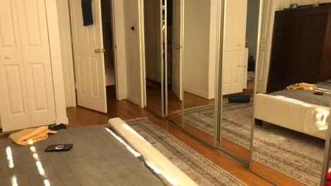 exhibitp online show from February 9, 7:19 pm