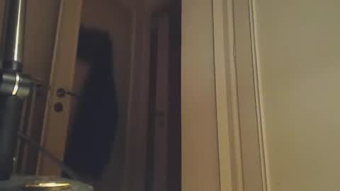 Snapshot of ezcoda chatting on January 2, 1:38 am EZCODA online show from January 2, 1:38 am