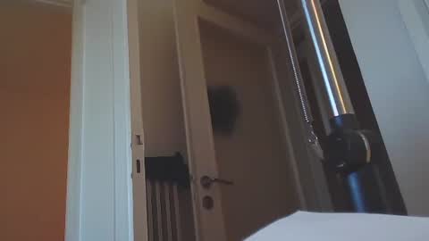 Snapshot of ezcoda chatting on January 14, 2:43 pm EZCODA online show from January 14, 2:43 pm