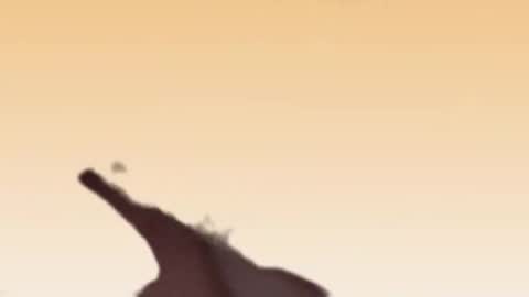 Snapshot of fabinou32 chatting on November 22, 2:49 pm fabinou32 online show from November 22, 2:49 pm