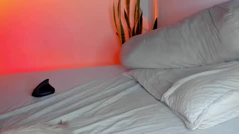 Snapshot of fabrizio_amery chatting on November 3, 3:52 am - A N D E R online show from November 3, 3:52 am