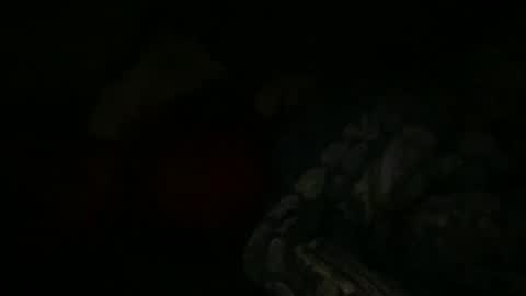 FABX online show from January 6, 9:22 pm