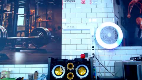 fabxxxl online show from January 21, 12:18 pm