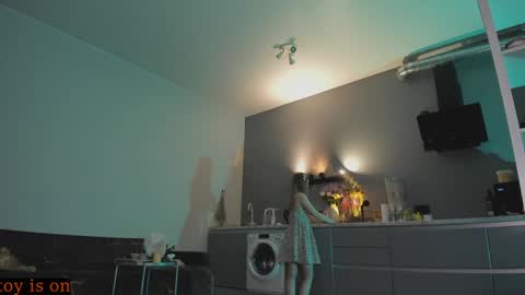 Snapshot of fairy_casey chatting on December 3, 11:13 pm fairy_casey online show from December 3, 11:13 pm