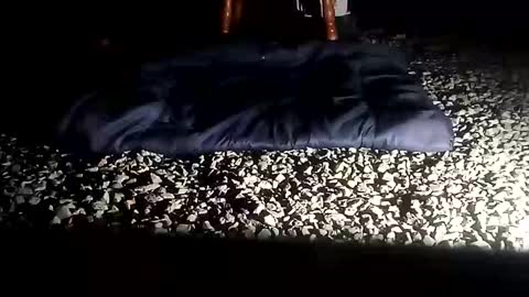 fallguyb1875150 online show from October 6, 10:12 am