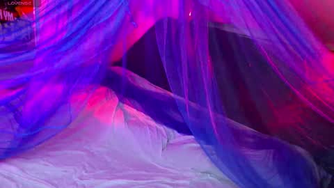 Snapshot of fantastic_fairy chatting on November 14, 10:18 pm Fairy online show from November 14, 10:18 pm