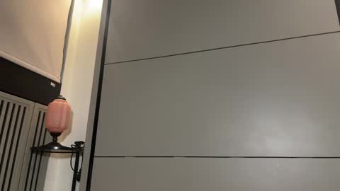 Gattino online show from March 8, 7:31 pm