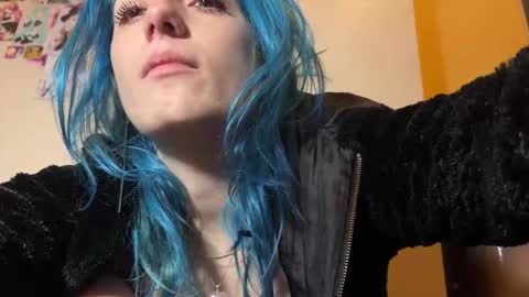 Gattino online show from November 26, 4:30 pm