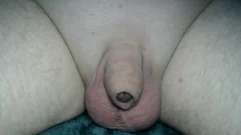 Snapshot of fatmanscock chatting on May 4, 3:24 am Fatmanscock online show from May 4, 3:24 am