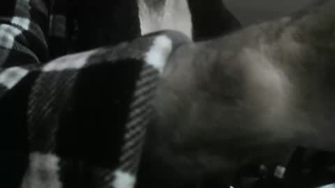 feardubh online show from October 31, 9:43 am