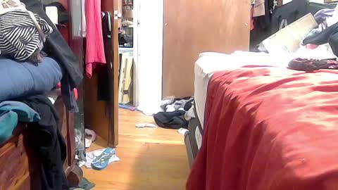Snapshot of felicitybliss29 chatting on October 16, 4:57 am felicitybliss29 online show from October 16, 4:57 am
