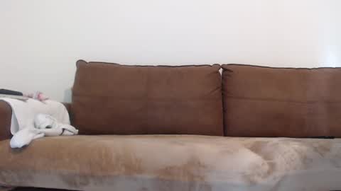 FelineChic online show from January 17, 5:42 am