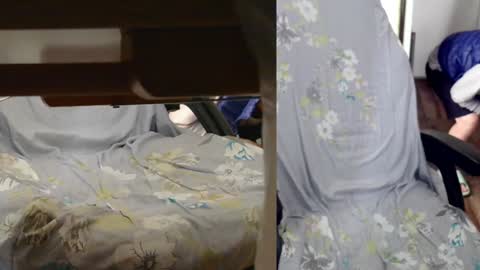 felixlau online show from January 7, 7:42 am