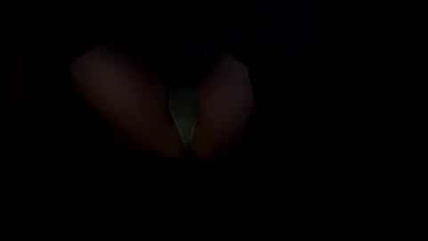 Snapshot of femboywannabe chatting on December 9, 1:45 pm ElaraJean online show from December 9, 1:45 pm