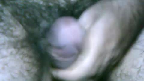 Snapshot of fer_2197 chatting on January 27, 9:55 pm fer_2197 online show from January 27, 9:55 pm