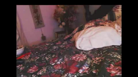 Snapshot of ferra_testarossa chatting on November 5, 3:17 am ferra_testarossa online show from November 5, 3:17 am