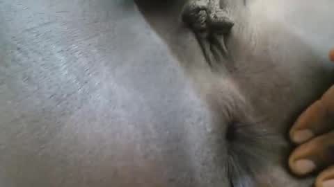 Snapshot of ferriena chatting on September 27, 4:06 am Ferie online show from September 27, 4:06 am