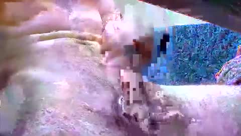 Snapshot of fetish_bigballs chatting on November 5, 8:25 am fetish_bigballs online show from November 5, 8:25 am