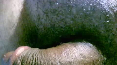 filedbc2024 online show from March 9, 4:49 am