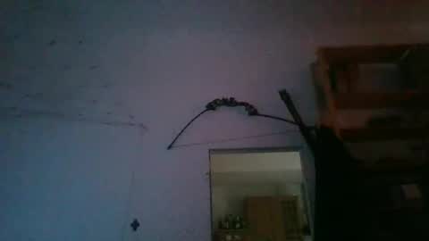 fine_nice online show from January 27, 9:55 am