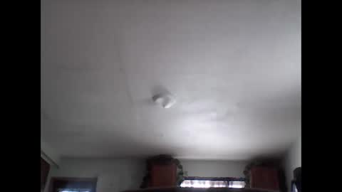 Snapshot of fireprince1977 chatting on November 29, 8:01 pm Brad online show from November 29, 8:01 pm