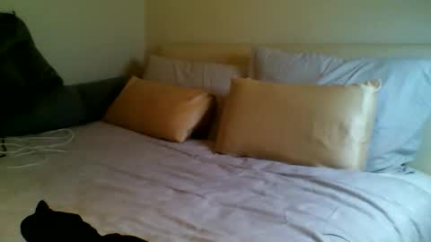 Fitbut online show from September 15, 7:03 pm