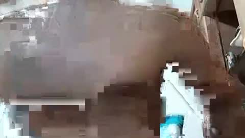 Snapshot of fitchestabs_69 chatting on December 7, 3:25 am fitchestabs_69 online show from December 7, 3:25 am