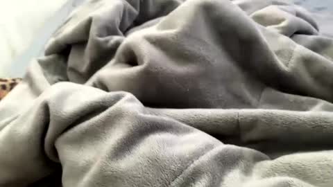 Jat online show from December 21, 3:53 pm