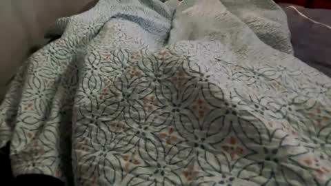 Jat online show from December 29, 4:19 pm