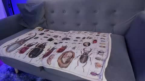 Its a pleasure to meet you. Im Flower. Help me reach 1k. Follow me. online show from March 7, 12:13 pm