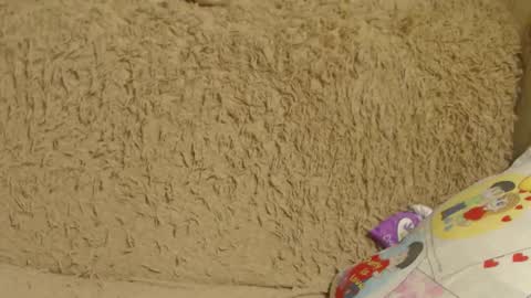 say meow and send tip  online show from December 26, 1:07 am