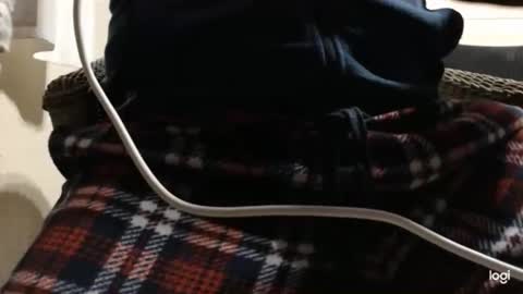 flowerpower622 online show from January 6, 10:23 pm