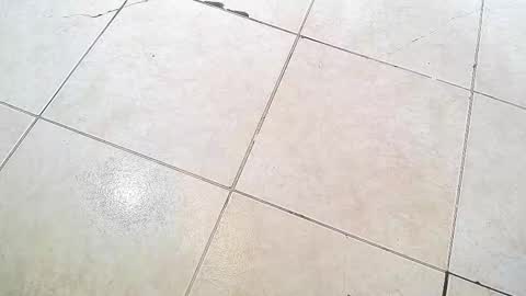 flyckers online show from September 13, 8:19 pm