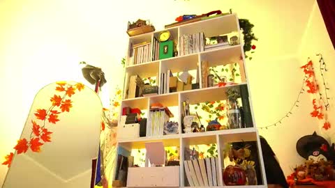 Snapshot of fox_and_dog chatting on November 16, 12:22 pm Senya subscribe to telegram channel online show from November 16, 12:22 pm