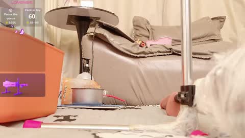 yiyi online show from April 14, 7:58 am