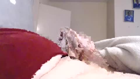 frankiel745 online show from December 9, 12:40 pm