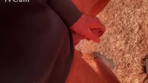 franzleo2903 online show from March 4, 7:36 am