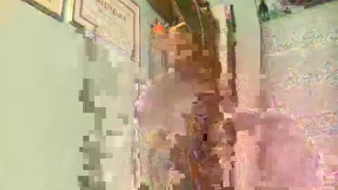 Snapshot of freddy3399 chatting on December 17, 2:44 am freddy3399 online show from December 17, 2:44 am